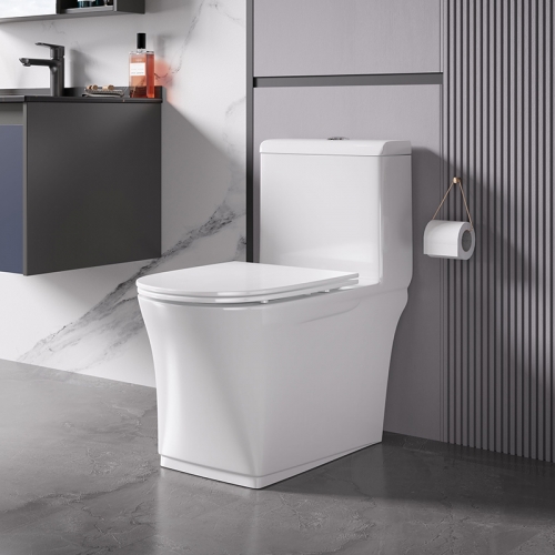 Monarch white ceramic toilet with row toilet