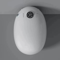 Egg Shaped Sanitary Wares Bathroom Hidden Water Tank Toilet Egg Shape Toilet