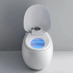 Egg Shaped Sanitary Wares Bathroom Hidden Water Tank Toilet Egg Shape Toilet