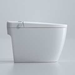 2022 Hot Sale One Piece Ceramic Toilet Automatic Toilet Smart Smart Toilet