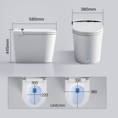 Toilettes intelligentes de sol de luxe toilettes en céramique intelligentes automatiques toilettes cachées de réservoir d'eau