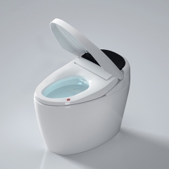 Toilettes intelligentes au sol, siège à chasse d'eau automatique, chauffage automatique