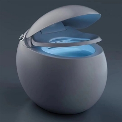 Egg Shaped Sanitary Wares Bathroom Hidden Water Tank Toilet Egg Shape Toilet