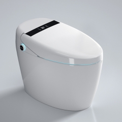 European Sanitary Ware Ceramic Bidet Smart Toilet Bowl Intelligent One Piece Smart Toilet