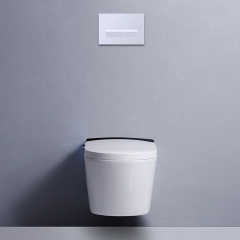 Fully Automatic Cleaning Wall mounted Toilet