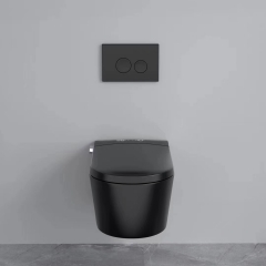 Cuarto de baño Inodoro negro