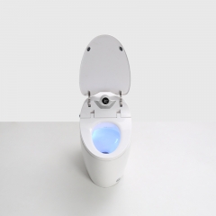 Chine Fabricant de siège de toilette intelligent pour nettoyeur automatique