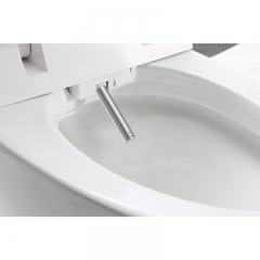 China Auto Cleaner Intelligent Toilet Seat Manufacturer