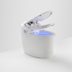 Chine Fabricant de siège de toilette intelligent pour nettoyeur automatique