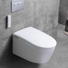 China Smart Toilet Washlet Factory