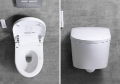 China Smart Toilet Washlet Factory