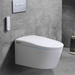 China Smart Toilet Washlet Factory