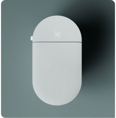 China Electric Smart WC Bidet-Fabrik