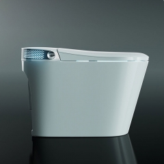 Usine de bidet de toilette intelligente électrique en Chine