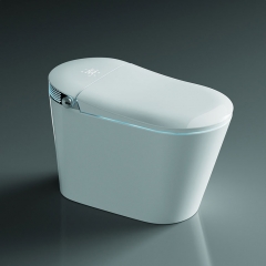 Usine de bidet de toilette intelligente électrique en Chine