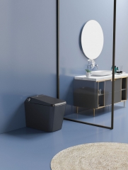 Black Square Toilet Bowl