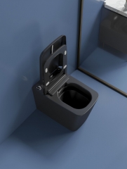 Black Square Toilet Bowl