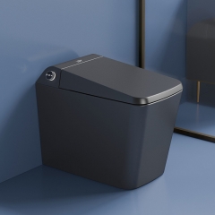 Black Square Toilet Bowl