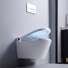 Wall Mounted Toilet With Bidet