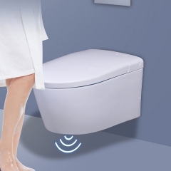 Wall Hung Bidet Toilet