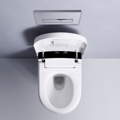 Wall Mounted Toilet With Bidet