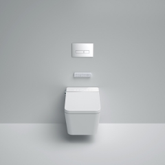 Wall Hung Toilet With Bidet