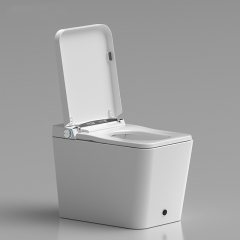 Monarch intelligent square toilet