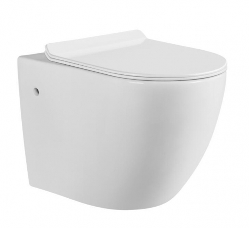 Monarch Modern Wall Mounted Dual Flush White in wall tank toilet Toilet