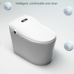 Ensemble bidet de toilette monté au sol monobloc pour toilette électrique moderne Monarch