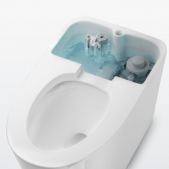 Ensemble bidet de toilette monté au sol monobloc pour toilette électrique moderne Monarch