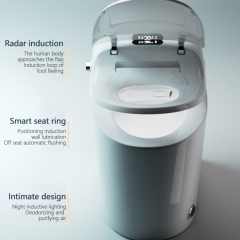 Monarch Moderne elektrische Toilette, einteilige, bodenmontierte Toiletten-Bidet-Kombination