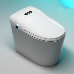 Monarch Moderne elektrische Toilette, einteilige, bodenmontierte Toiletten-Bidet-Kombination