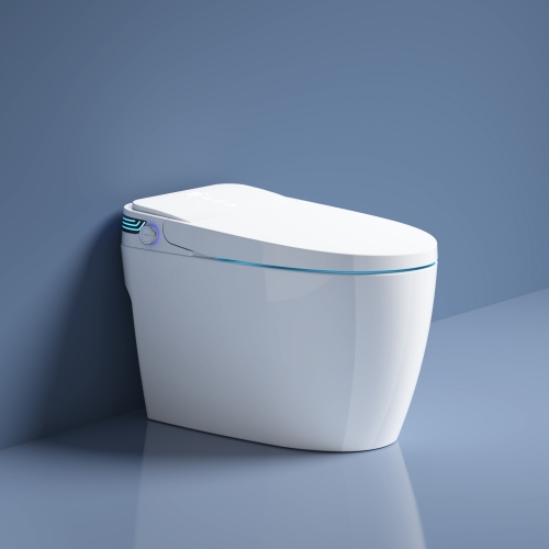 Toilette bidet intégré