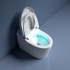 Eingebautes Bidet-WC