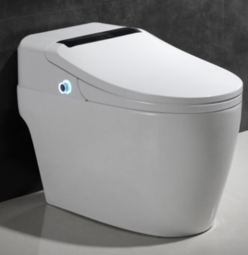 Monarch White Smart Toilet Toilette Intelligente