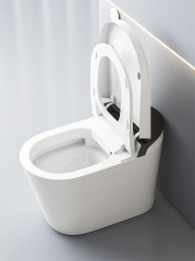 Fournisseur de toilettes intelligentes Monarch avec bidet