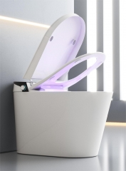 Monarch Smart Toilette mit Bidet Lieferant