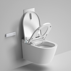 Luxury Smart Toilet, Elongated Bidet Toilet Come with Automatic Toilet Seat, Auto Flush Smart Bidet Toilet for Bathrooms