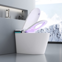 2023 Neue einteilige japanische Keramiktoilette mit automatischer intelligenter Toilette vom Typ Bidet Siphon