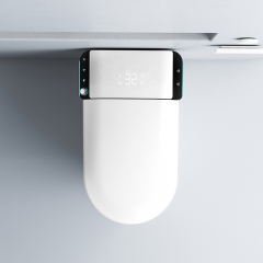 2023 Neue einteilige japanische Keramiktoilette mit automatischer intelligenter Toilette vom Typ Bidet Siphon