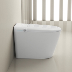 Smart Intelligent Toilet Smart Bidet Wc Toilet