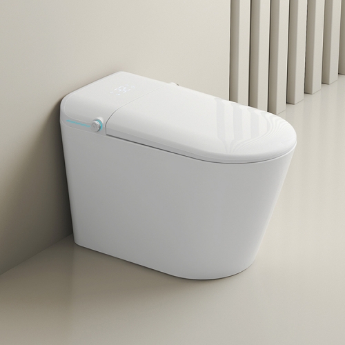 Smart Intelligent Toilet Smart Bidet Wc Toilet