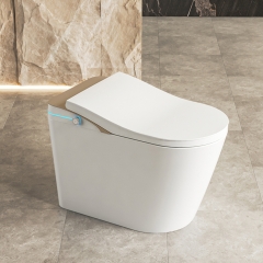 Combinaison de bidet de toilette fantaisie