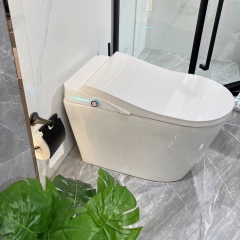 Ausgefallene WC-Bidet-Kombination