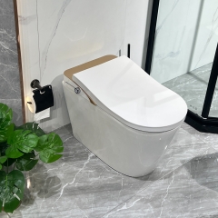 Combinaison de bidet de toilette fantaisie