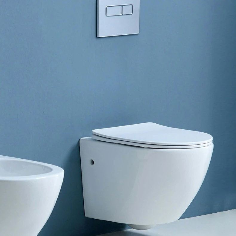 Back to Wall WC-Bidet