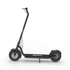 Popular Classic 36V 350W  Double Front Brake 2 Wheel 10Inch Foldable Electric Scooter for Adult