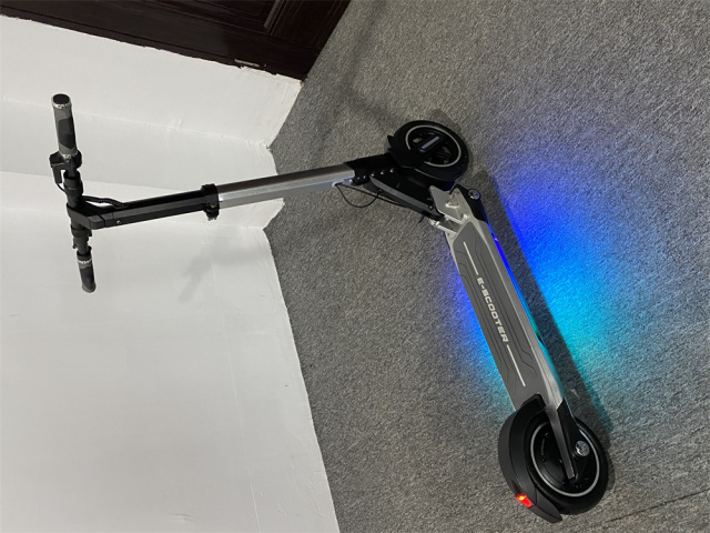 350W 36V Foldable two Wheel Electric Scooter for Adult Offroad