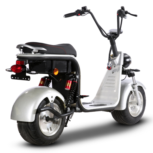 EEC COC DOT Certified Electric scooter 1500W 60V12A 45km/h 10 Inch Tire Disc Brake Electric Motorcycle