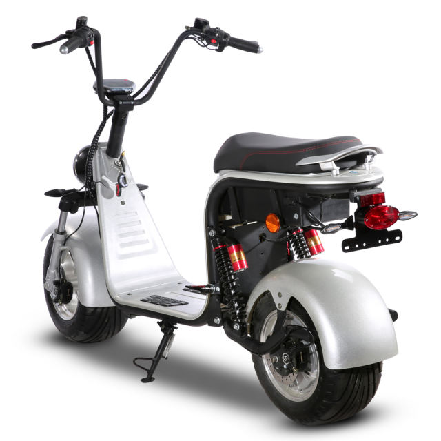 EEC COC DOT Certified Electric scooter 1500W 60V12A 45km/h 10 Inch Tire Disc Brake Electric Motorcycle